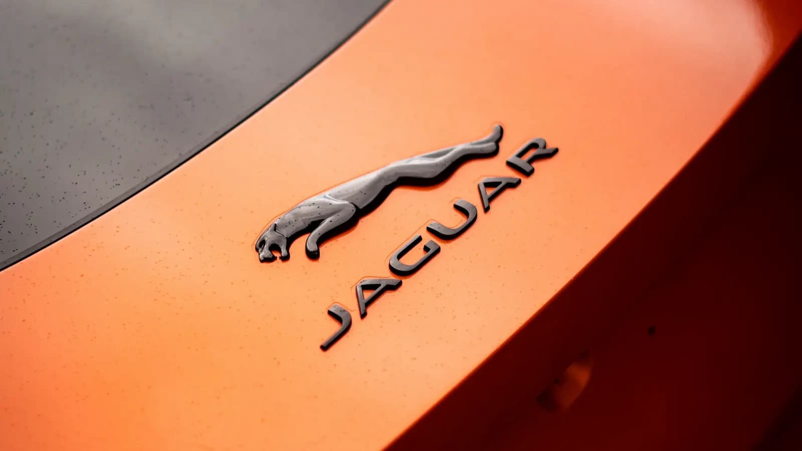 Close-up of the Jaguar emblem on the boot lid of an orange car.